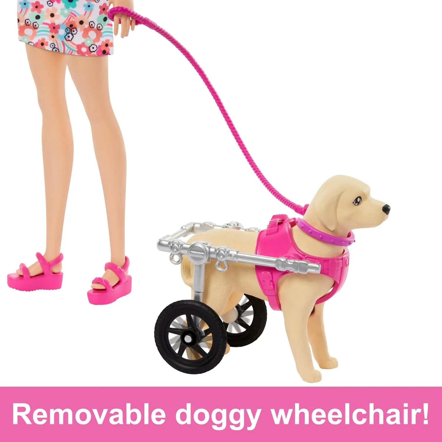 Barbie Toys Barbie Doll with 2 Toy Dogs & Pet Accessories - Includes Removable Wheelchair for Ages 3 