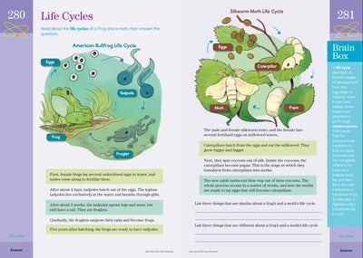 Brain Quest Workbook - 5th Grade