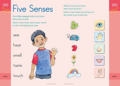 Brain Quest Workbook - Kindergarten