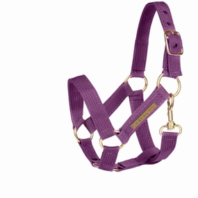 Cheval Roi Halter for hobbyhorse Amethyst