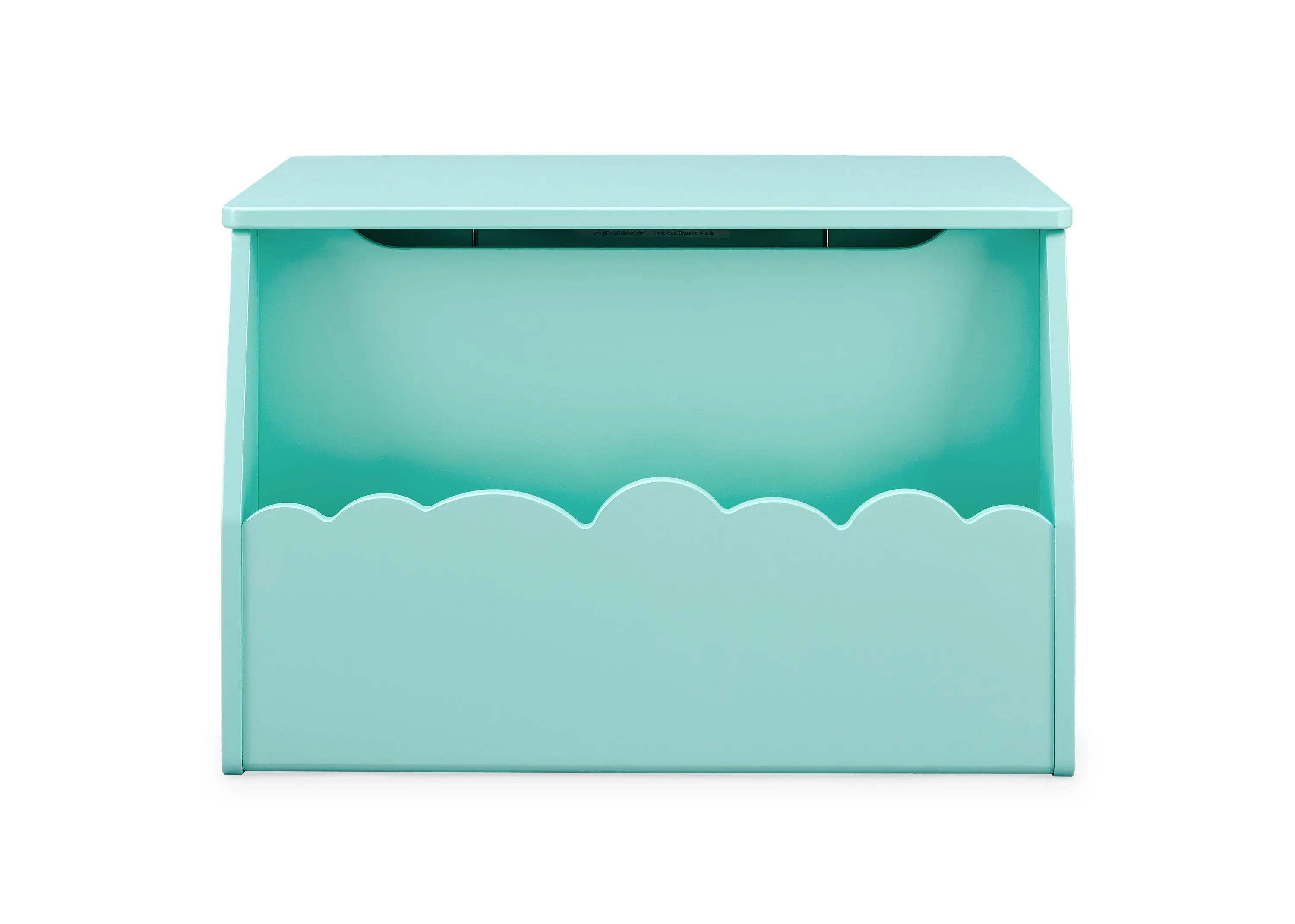 Cloud Toy Box Babykids_Delta Children_Toy Storage & Bookshelves