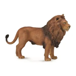 Collecta