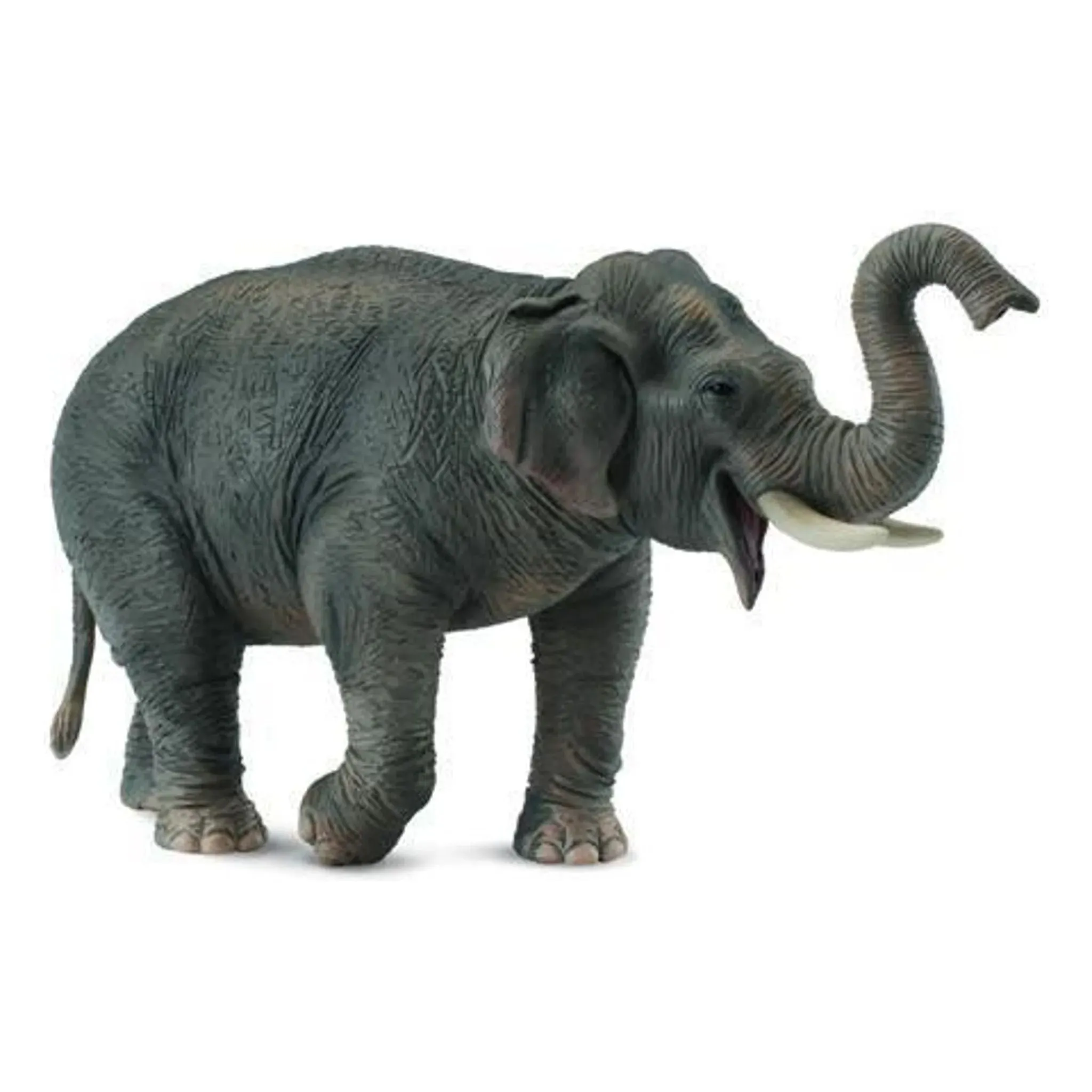 Collecta Toys CollectA | Asian Elephant (XL)