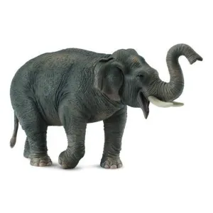 Collecta Toys CollectA | Asian Elephant (XL)