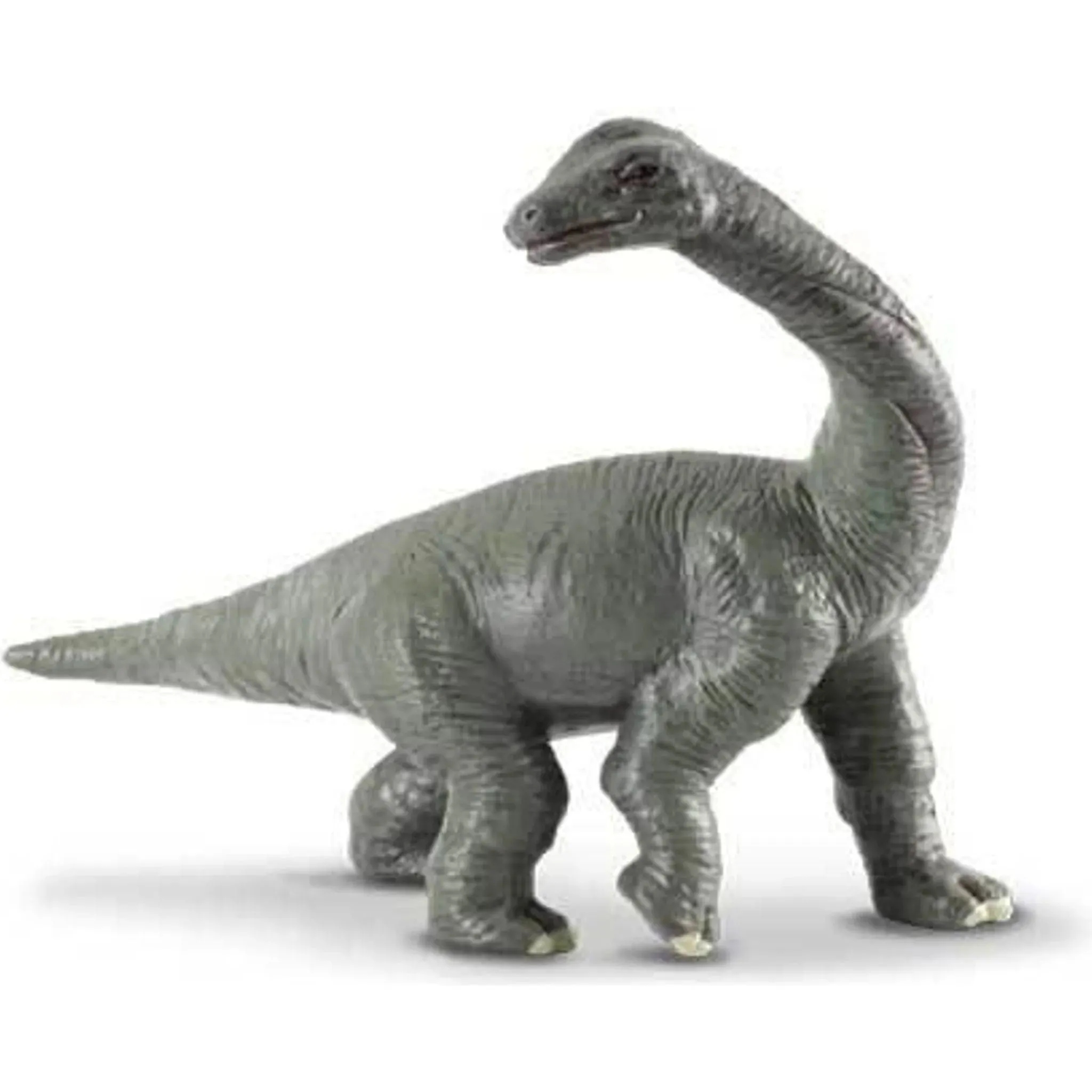 Collecta Toys CollectA | Baby Brachiosaurus (S)