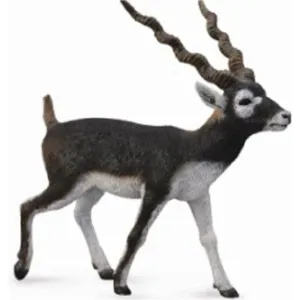 Collecta Toys CollectA | Blackbuck (L)
