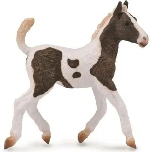 Collecta Toys CollectA | Curly Horse Foal (M)