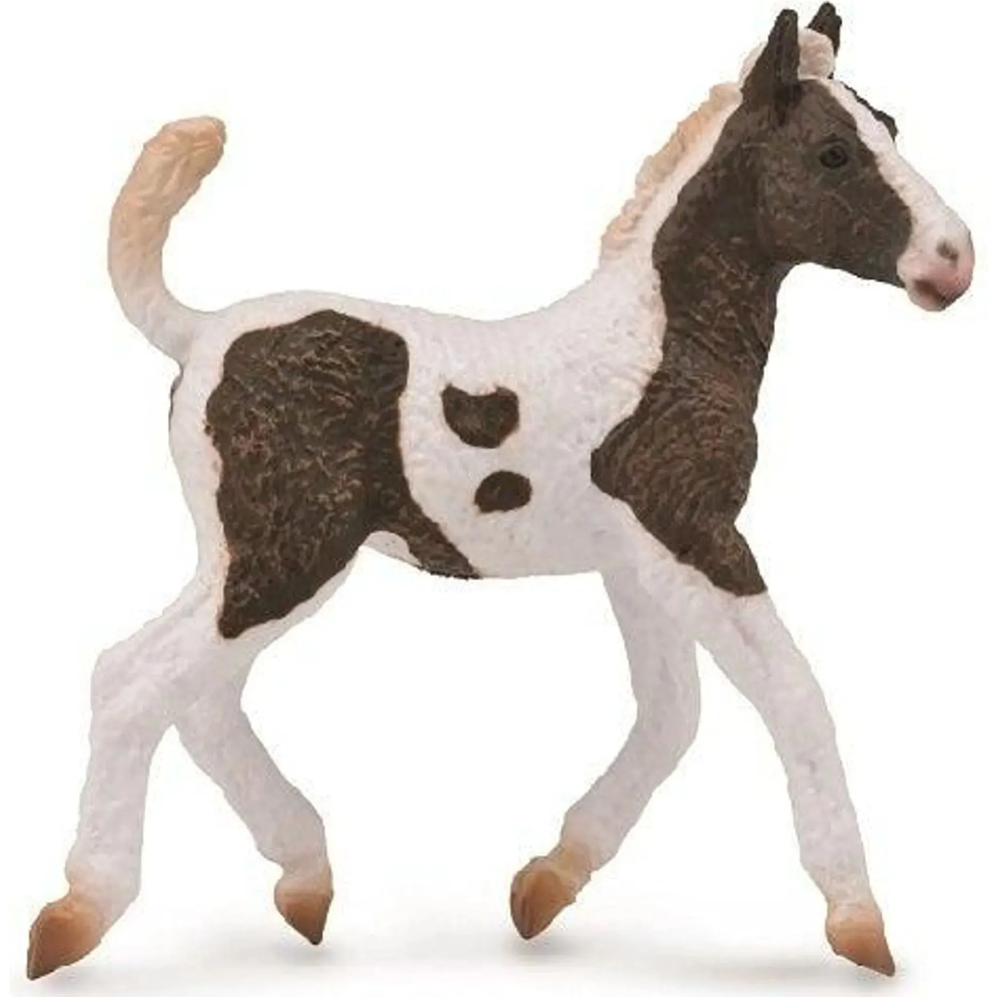 Collecta Toys CollectA | Curly Horse Foal (M)