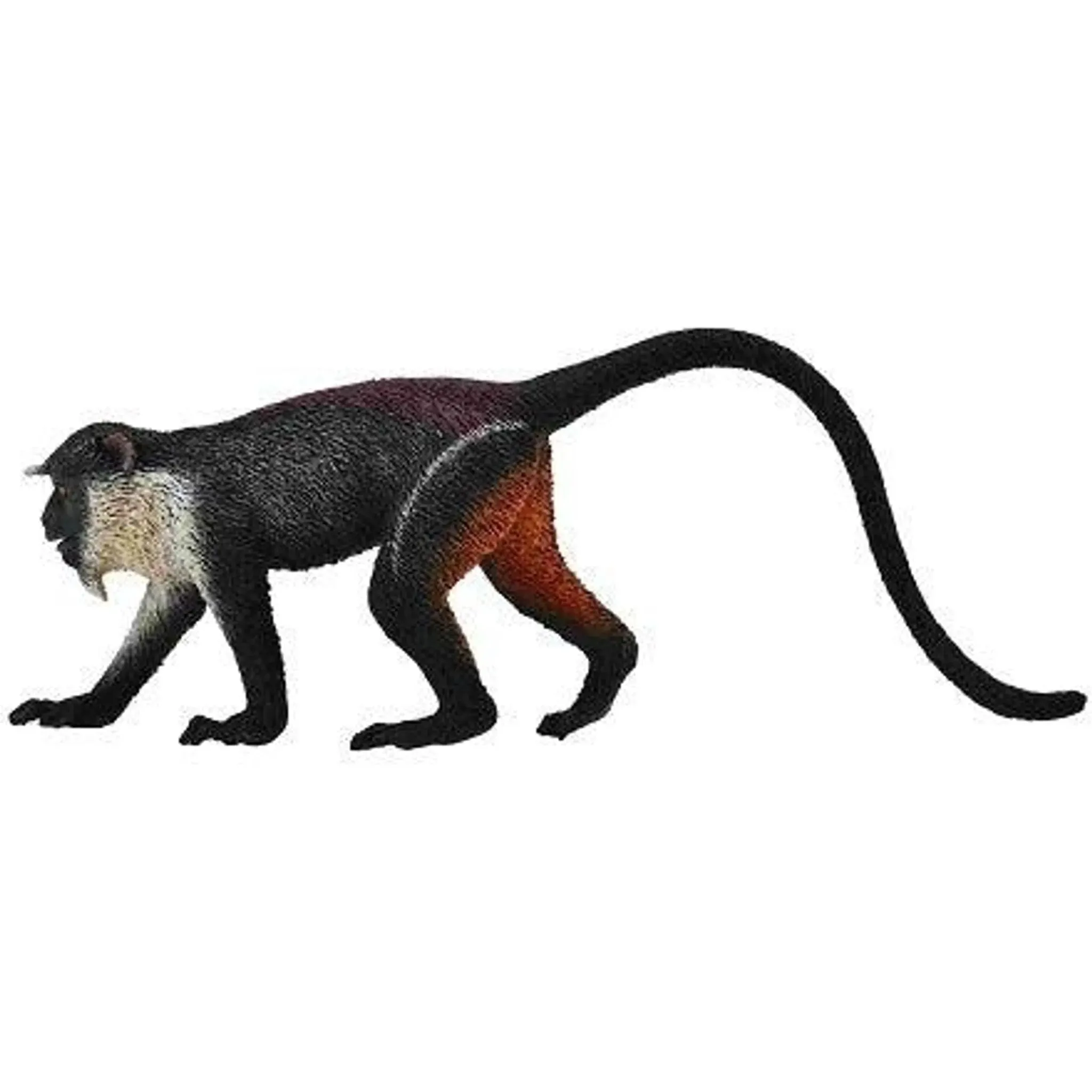 Collecta Toys CollectA | Diana Monkey (M)