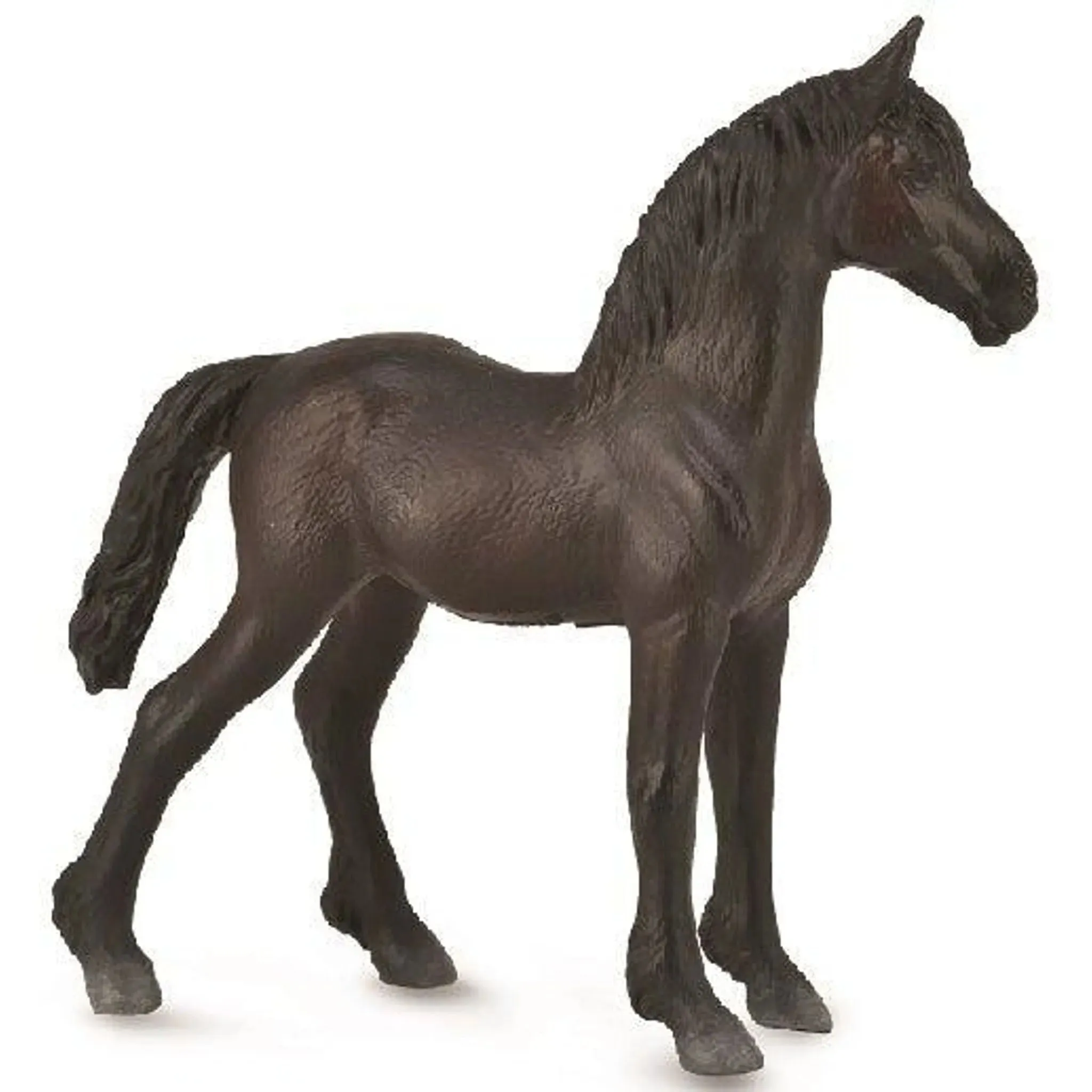 Collecta Toys CollectA | Fresian Foal Horse (Black) (M)