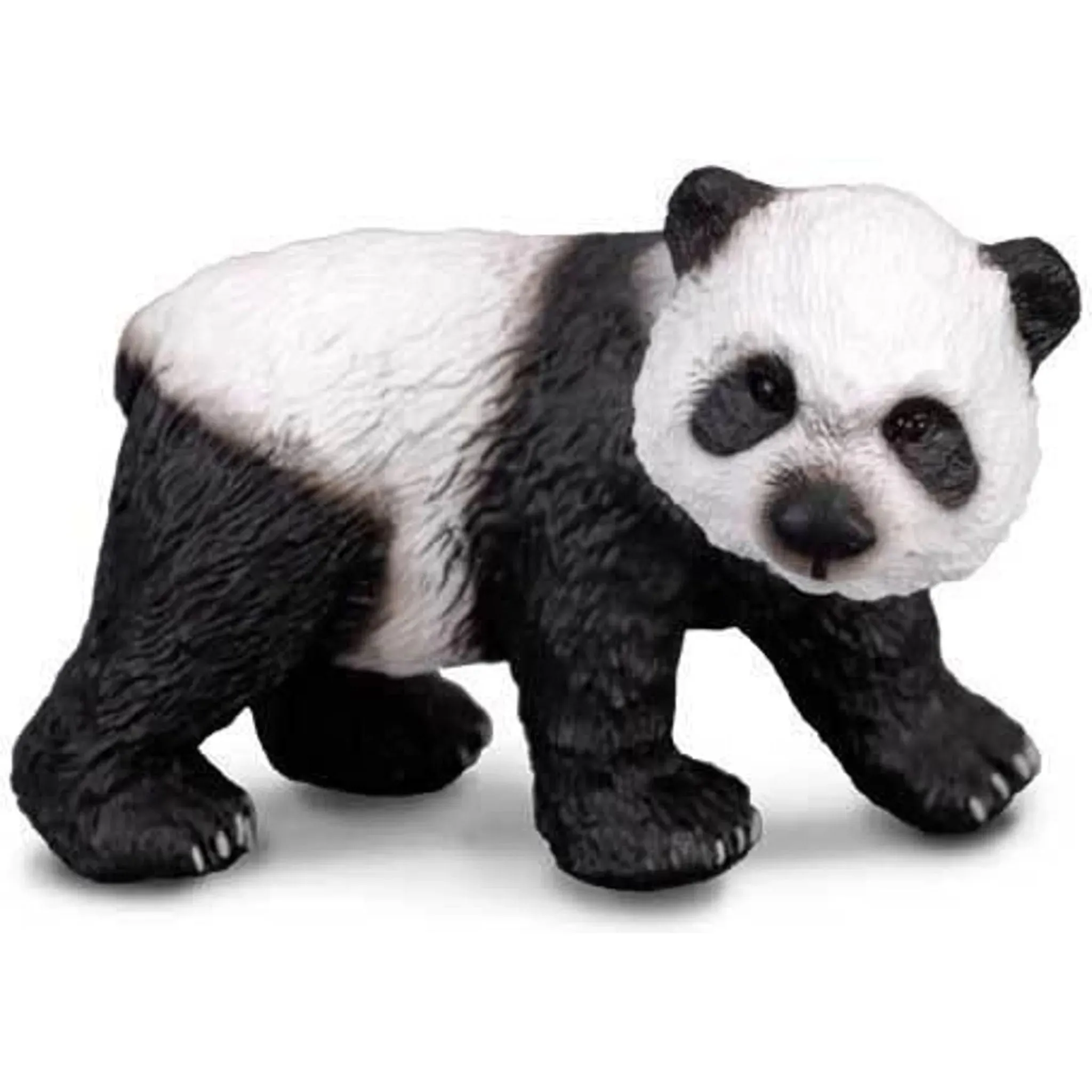 Collecta Toys CollectA | Giant Panda Cub Standing (S)