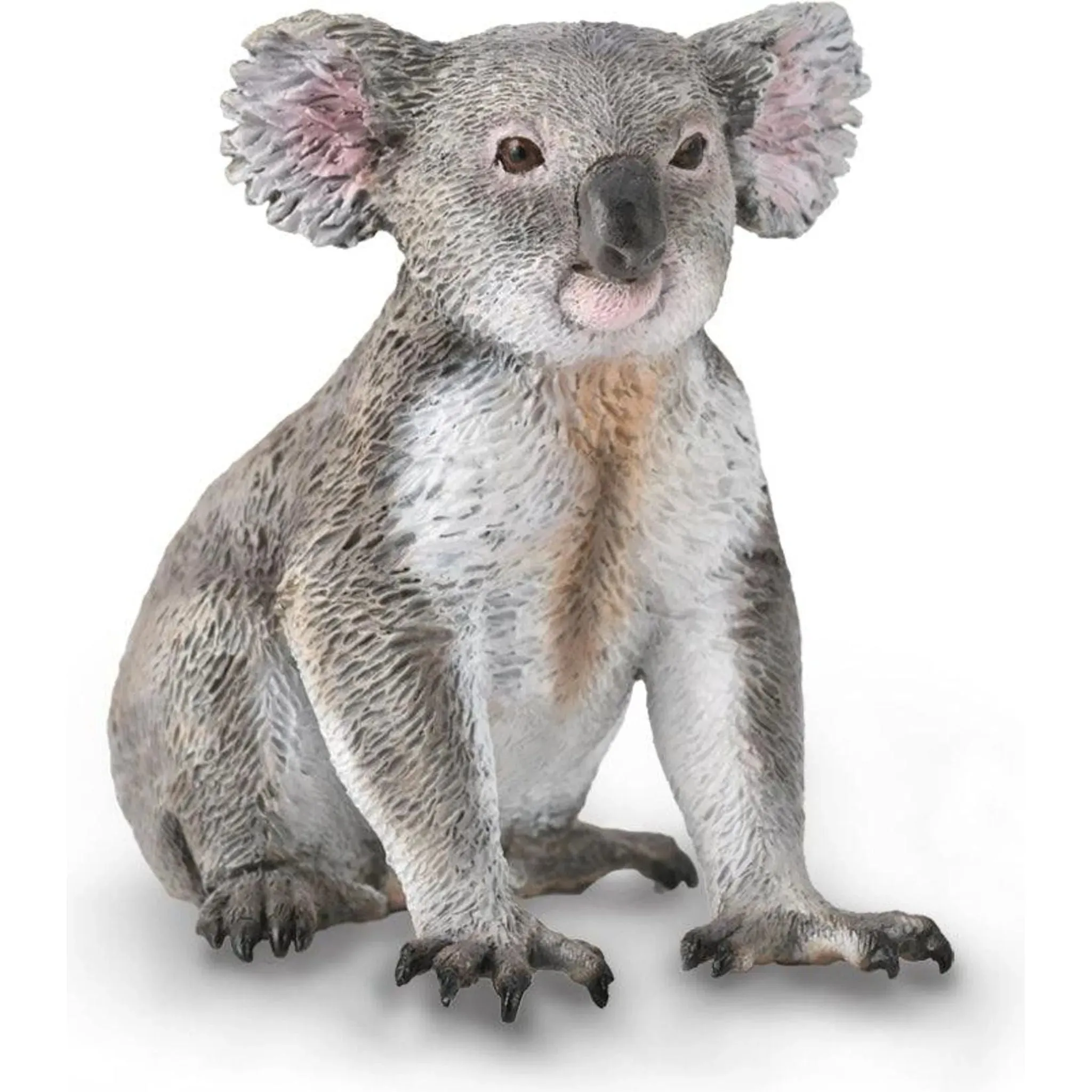 Collecta Toys CollectA | Koala (M)