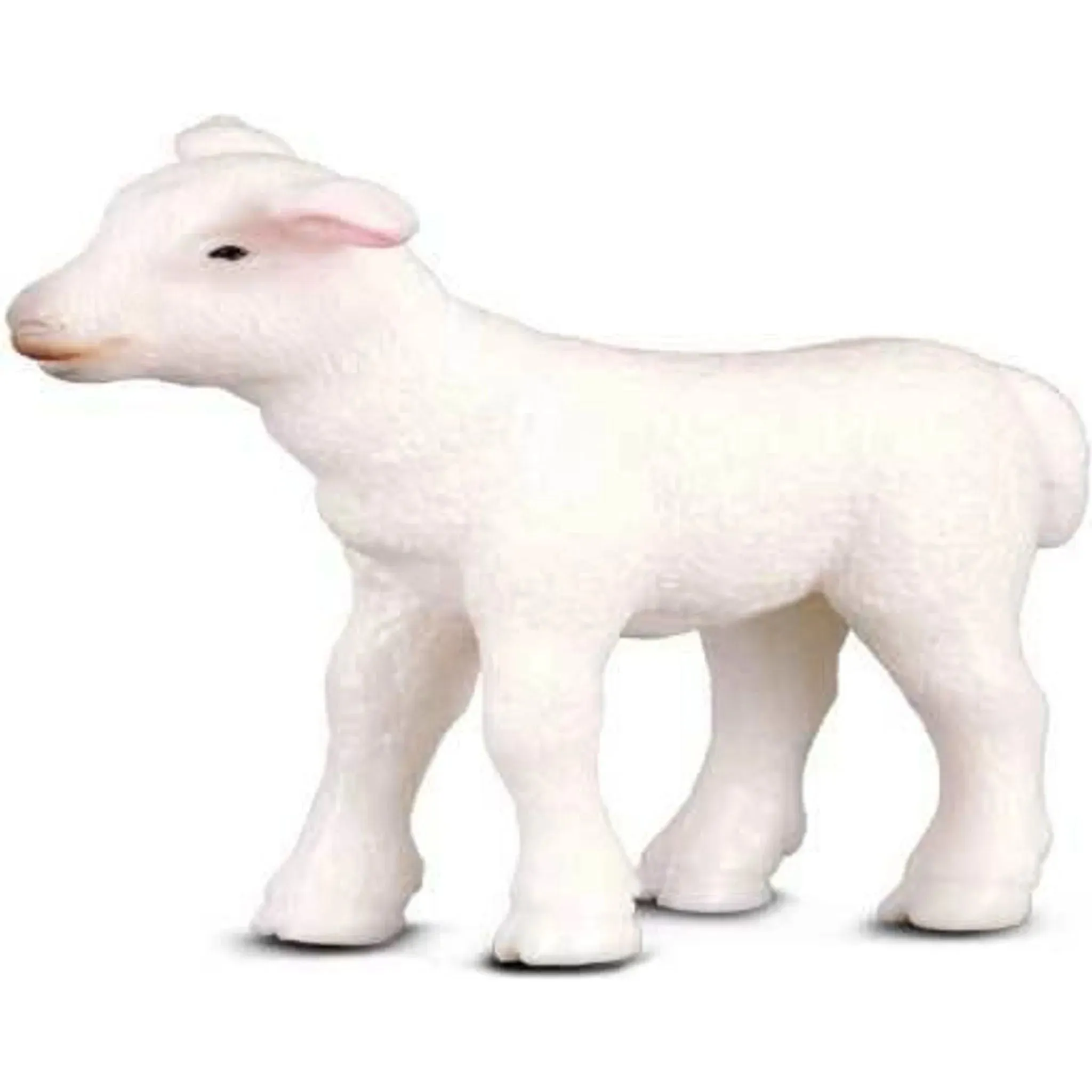 Collecta Toys CollectA | Lamb Standing (S)