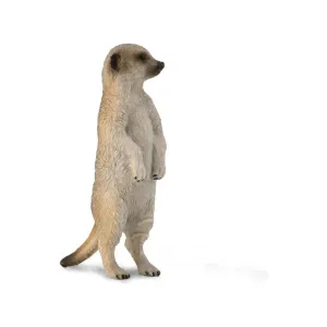 Collecta Toys CollectA | Meerkat (S)