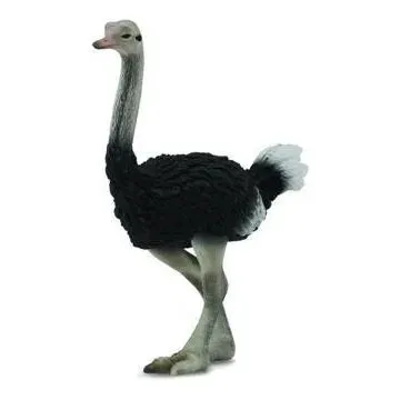Collecta Toys CollectA | Ostrich (L)