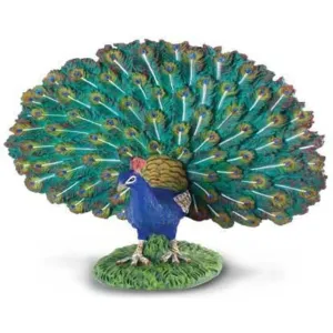 Collecta Toys CollectA | Peacock (L)