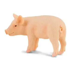 Collecta Toys CollectA | Piglet Standing (S)