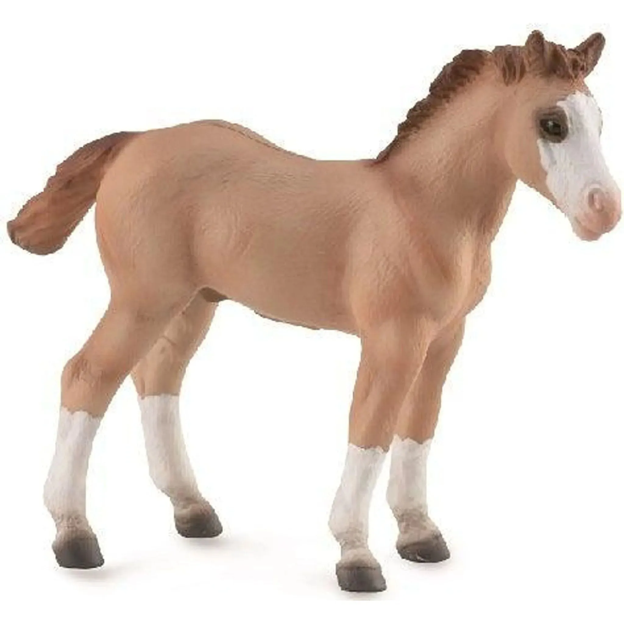 Collecta Toys CollectA | Quarter Foal Red Dun Horse (M)