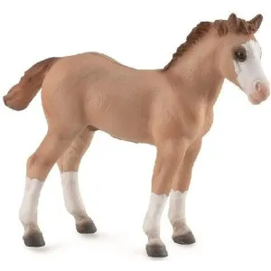 Collecta Toys CollectA | Quarter Foal Red Dun Horse (M)