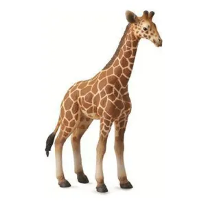 Collecta Toys CollectA | Reticulated Giraffe Calf (L)