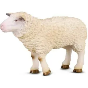 Collecta Toys CollectA | Sheep (M)