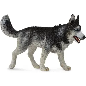 Collecta Toys CollectA | Siberian Husky (L)