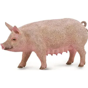 Collecta Toys CollectA | Sow (M)
