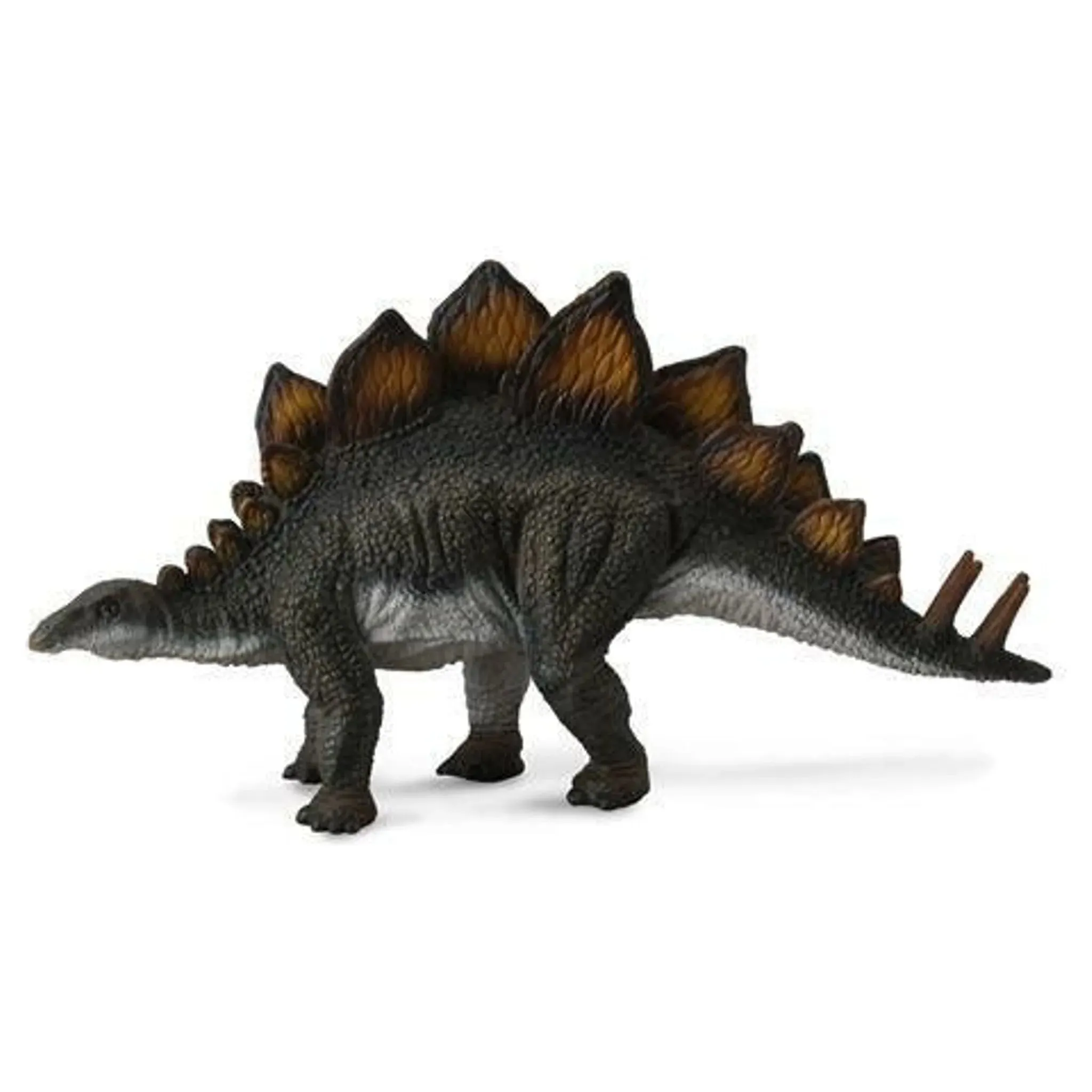 Collecta Toys CollectA | Stegosaurus (L)