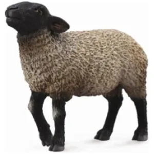 Collecta Toys CollectA | Suffolk Sheep (M)