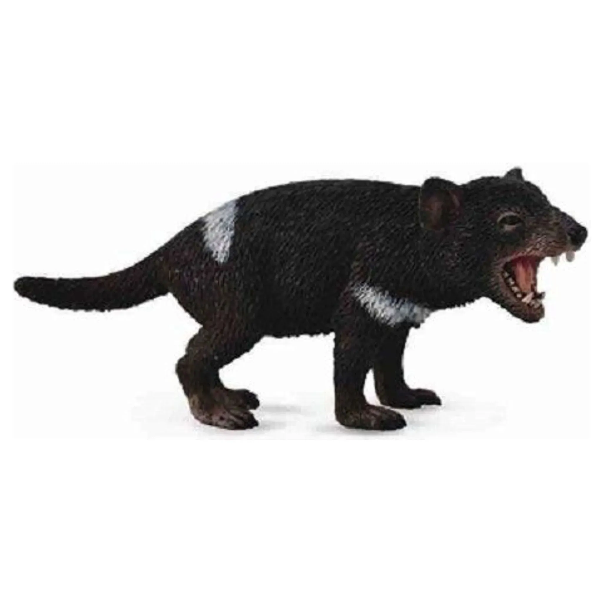 Collecta Toys CollectA | Tasmanian Devil (M)