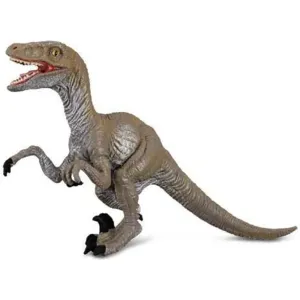 Collecta Toys CollectA | Velociraptor (M)