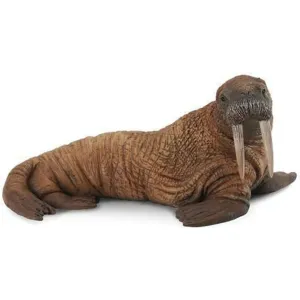 Collecta Toys CollectA | Walrus (L)