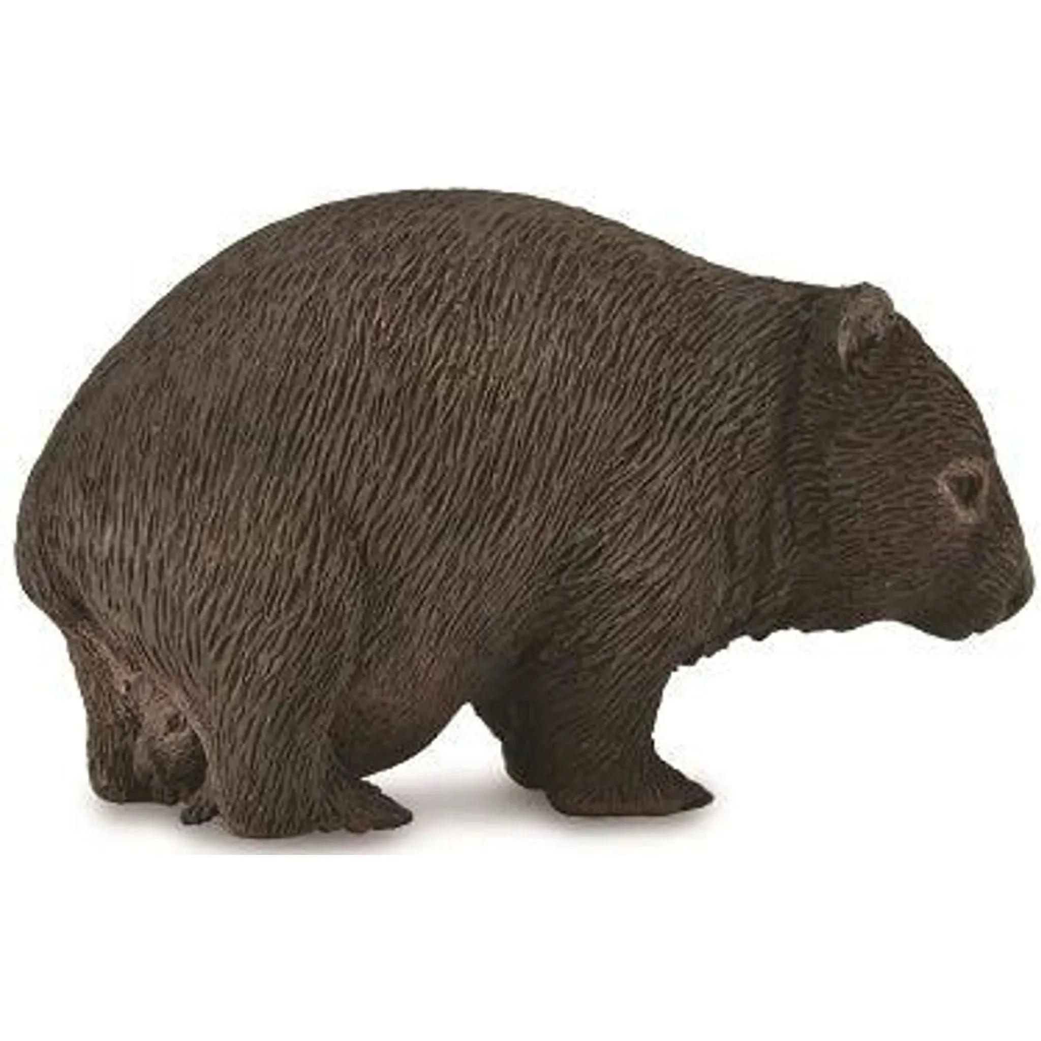 Collecta Toys CollectA | Wombat (M)