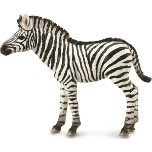 Collecta Toys CollectA | Zebra Foal (M)