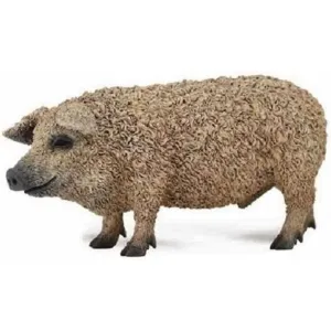 Collecta Toys Hungarian Pig (M)
