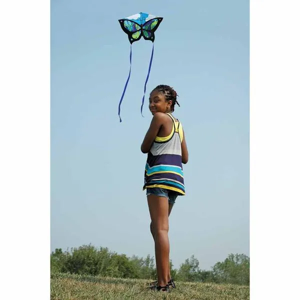 Cool Orbit - Butterfly Kite