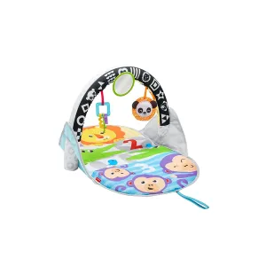 Fisher-Price Toys Fisher-Price 2 In1 Flip Fun Actvity Gym