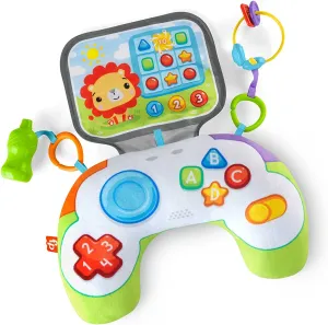 Fisher-Price Toys Fisher-Price HGB89 Tummy Wedge, Multicolour