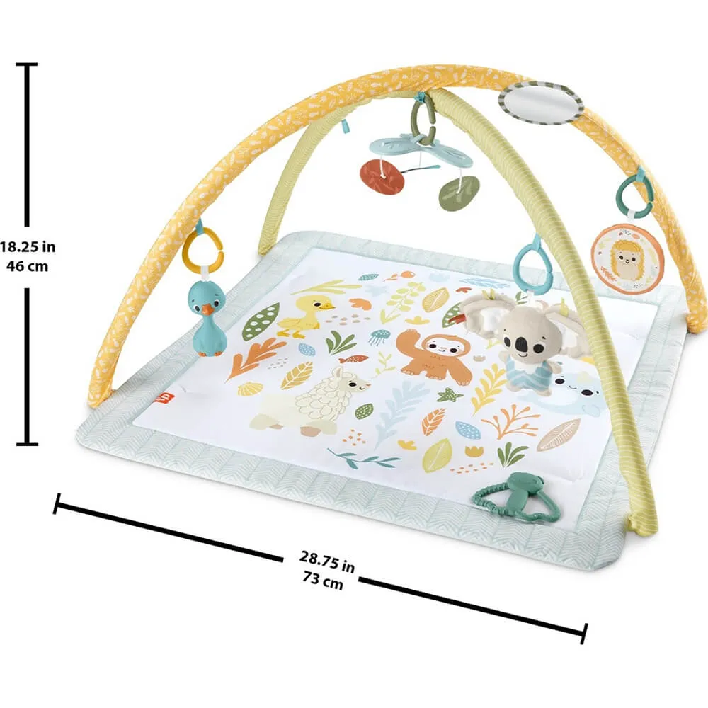 Fisher-Price Toys Fisher-Price Simply Senses Newborn Gym Baby Activity Mat with 6 Sensory Toys