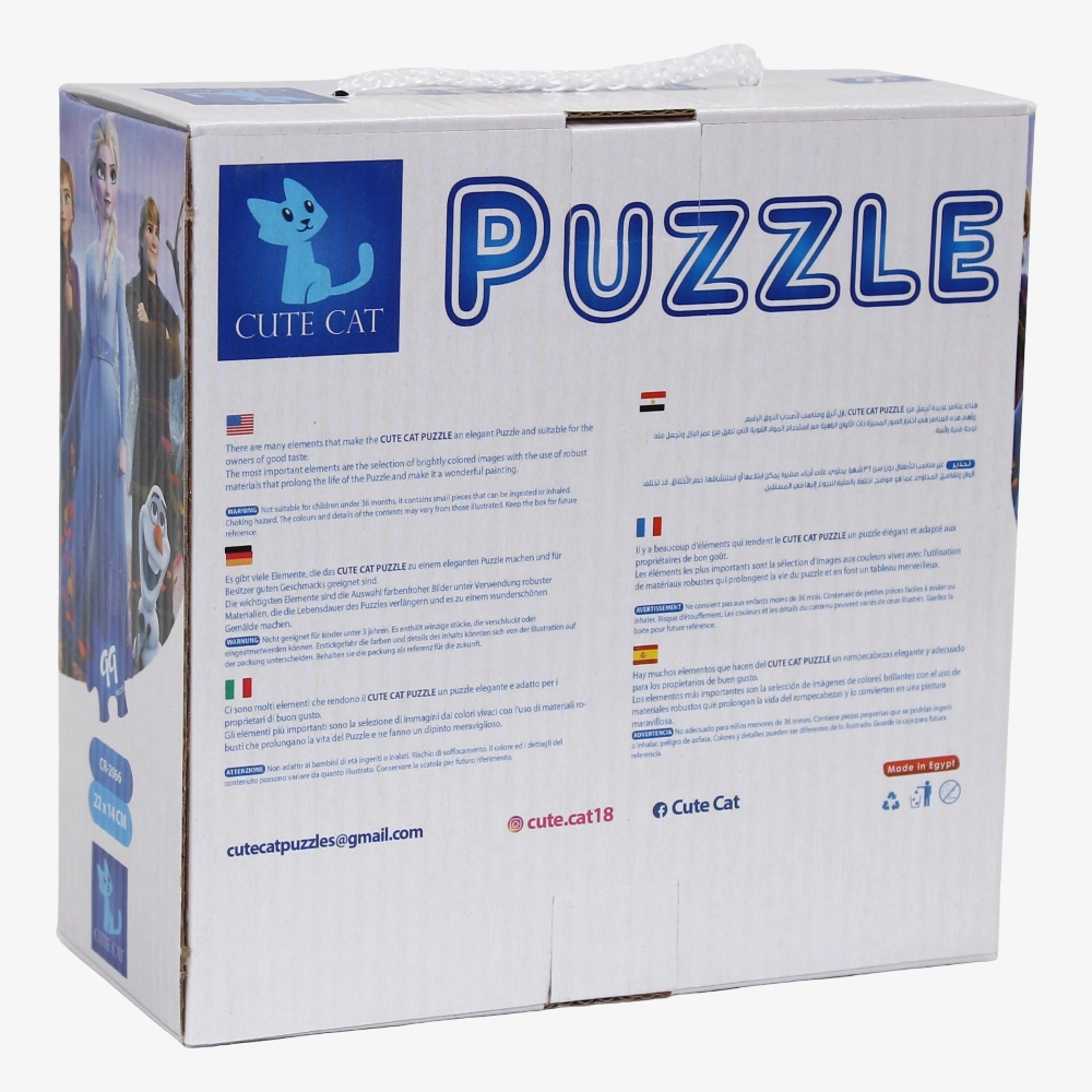 Frozen Puzzle - 99 Pieces