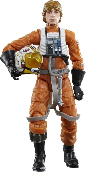 Hasbro Toys Hasbro Star Wars The Black Series Archive - Luke Skywalker 15-cm Action Figure (G0042XJ00)