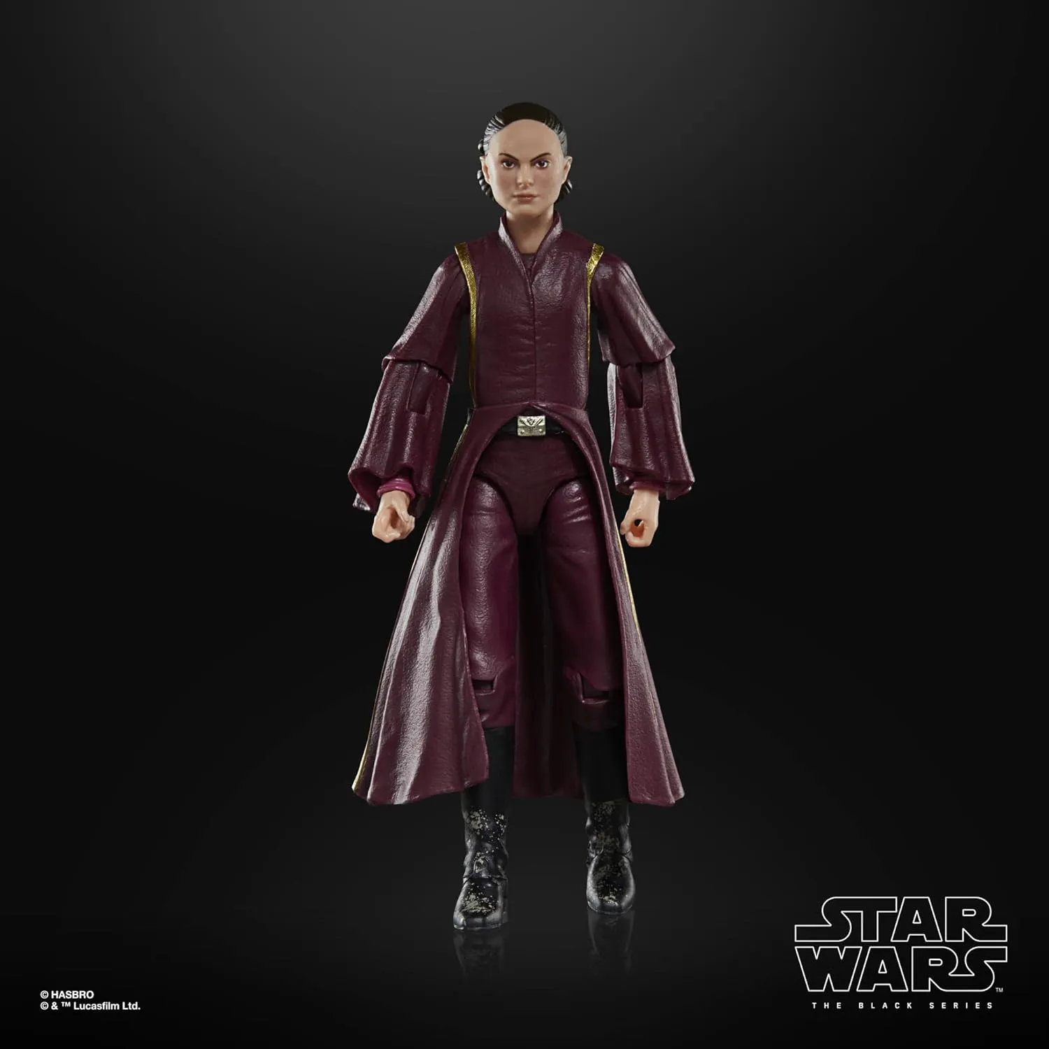 Hasbro Toys Hasbro Star Wars The Black Series Episode I - Padm Amidala Action Figure (G00255X21)