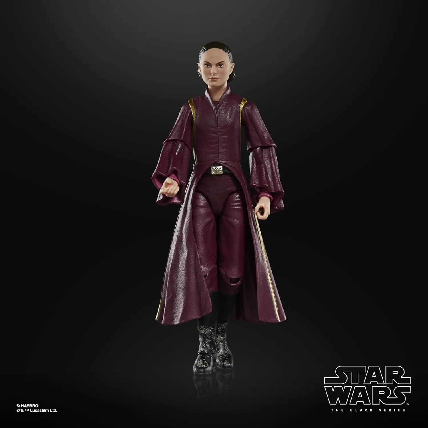 Hasbro Toys Hasbro Star Wars The Black Series Episode I - Padm Amidala Action Figure (G00255X21)