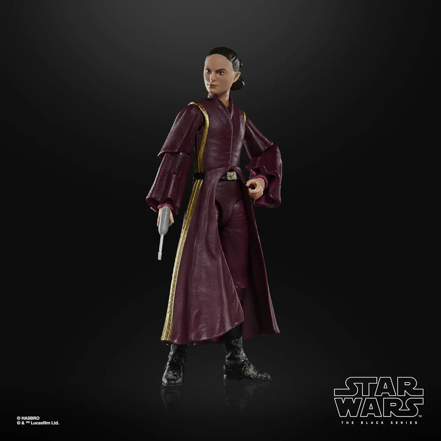 Hasbro Toys Hasbro Star Wars The Black Series Episode I - Padm Amidala Action Figure (G00255X21)