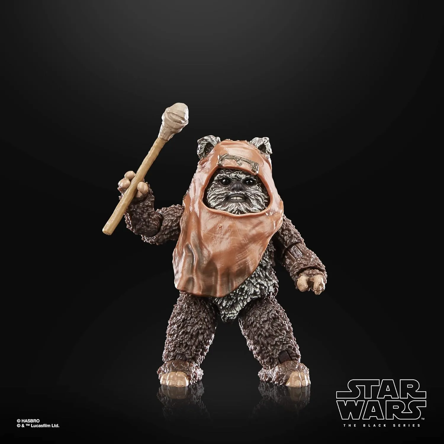 Hasbro Toys Hasbro Star Wars The Black Series Return of the Jedi - Wicket 6-Inch Action Figure (F7050)