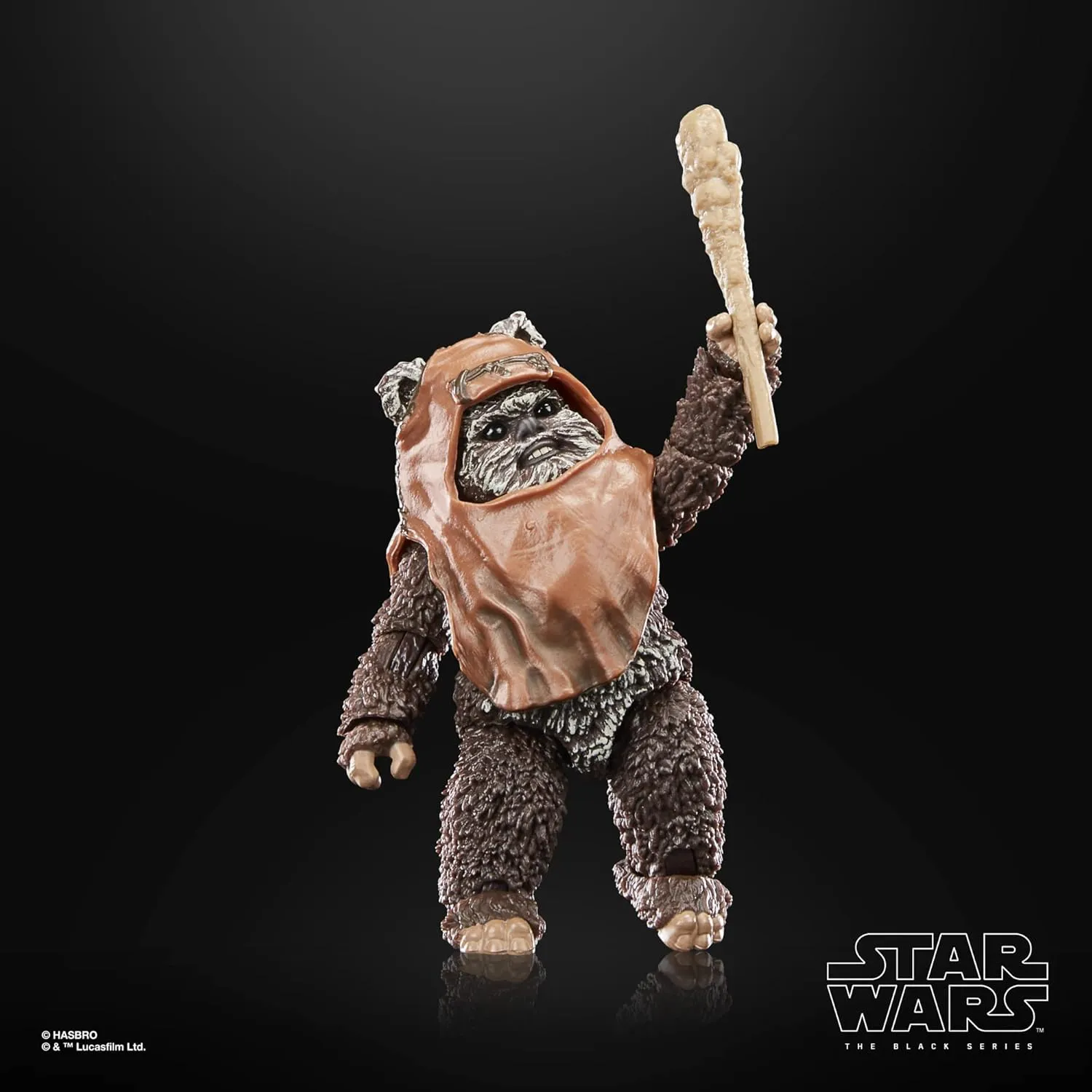 Hasbro Toys Hasbro Star Wars The Black Series Return of the Jedi - Wicket 6-Inch Action Figure (F7050)
