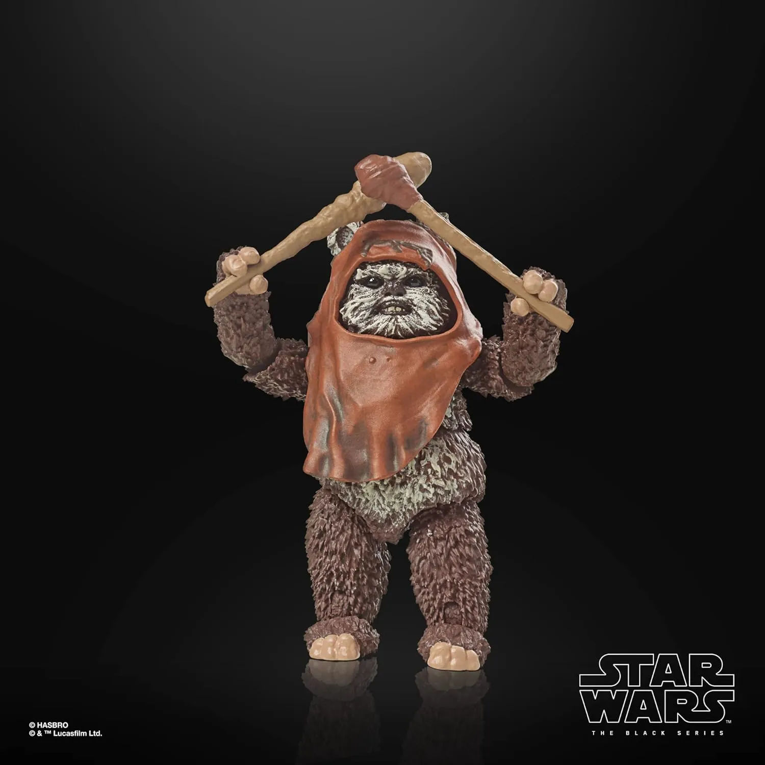 Hasbro Toys Hasbro Star Wars The Black Series Return of the Jedi - Wicket 6-Inch Action Figure (F7050)
