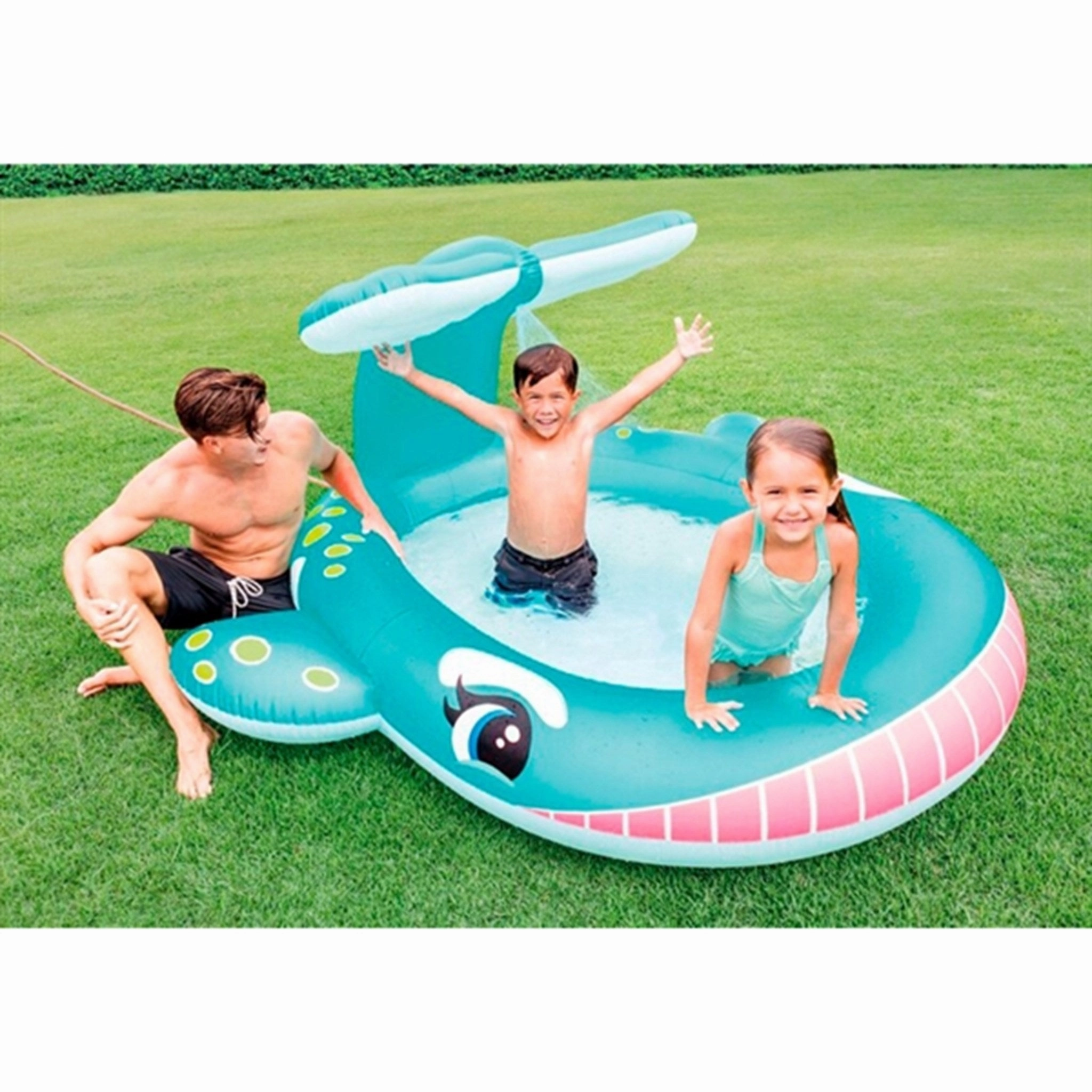 INTEX Whale Spray Pool