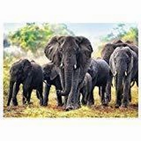 Jigsaw Puzzle African Elephants, 1000 Piece
