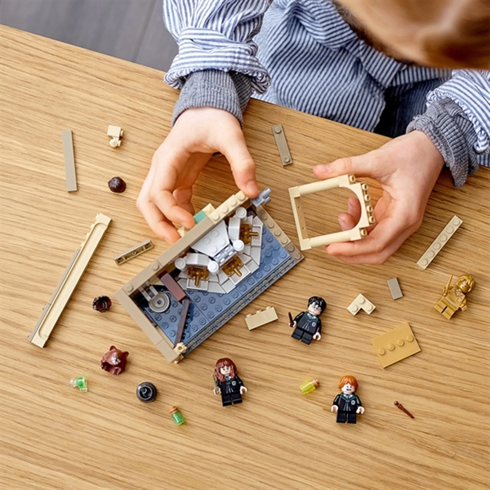 LEGO Harry Potter Hogwarts: Polyjuice Potion Mistake